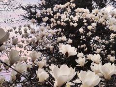 -西安石油大学(雁塔校区)