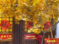 -翁家大院(西美·五洲天地店)
