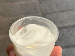 -洪馨椰子