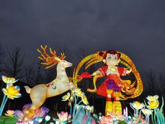 -武汉园博园(武汉自然博物馆)