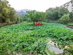 -西南交通大学(峨眉校区)