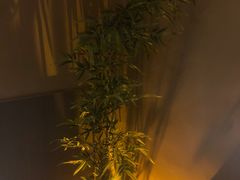 -宁采臣Sleep·采耳·SPA放松馆(湖里万达店)