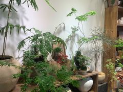 -自由生长植物工作室(深港花卉中心店)