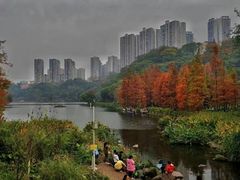-重庆彩云湖湿地公园