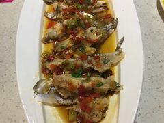 -潮庭港式茶餐厅·熊仔奶茶(同济广场店)