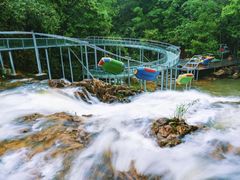 -九龙江国家森林公园