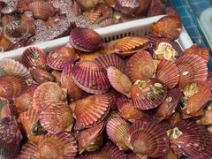 -和源祥·日照菜扛把子(万平口一店)