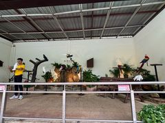 -吉隆坡雀鸟公园