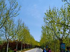 -渔岛海洋度假区