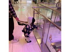 -证大喜玛拉雅中心