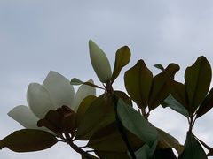 -宝鸡植物园