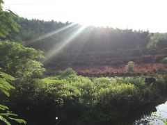 -宁波浙东大竹海景区