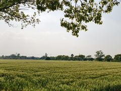 -嘉北郊野公园