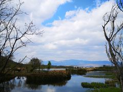 -才村湿地公园