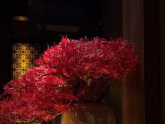 -江南足纪·影院足道·轻奢SPA(笋岗HALO广场店)