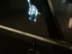 -世界恐龙谷景区