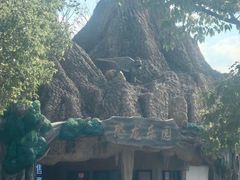 -自然谷恐龙园