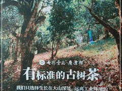 -七彩云南茶(七彩云南第壹城店)