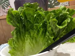 生菜-若爱猪肚鸡·啫啫煲(循礼门M+店)