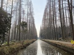 -上海怡沁园度假酒店