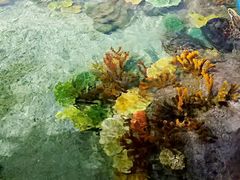 -福州罗源湾海洋世界旅游区