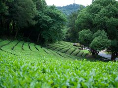 -敬亭山风景名胜区