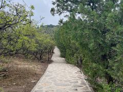 -北京西山国家森林公园