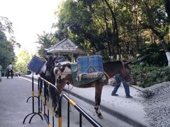 -火炉山森林公园