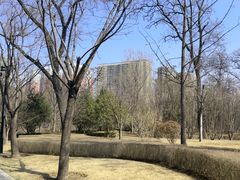 -迎泽公园