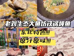 -老刘生态大鱼坊铁锅炖鱼(赛马场店)