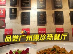 -广州富力君悦大酒店空中花园