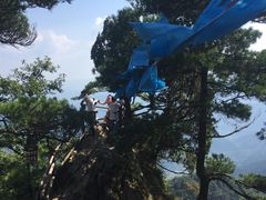 -王顺山国家森林公园