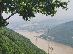 -铁山坪森林公园