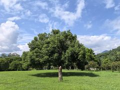 -福建鲤鱼洲酒店