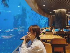 -海棠湾洲际-涛·海底餐厅·美人鱼·自助餐·海底隧道