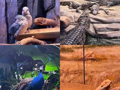 -正佳极地海洋世界