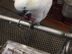 -四海楼(如皋定慧禅寺店)
