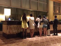 -新加坡丽思卡尔顿美年酒店