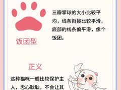 -唐小姐の私宠·宠物洗护美容·撸猫馆·购宠(周浦万达旗舰店)