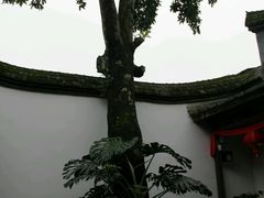 -福建省非物质文化遗产博览苑
