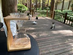 -上海怡沁园度假酒店