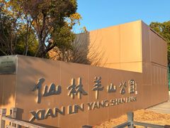 -羊山湖公园