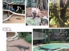 -费瑟代尔野生动物园