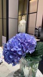 -MuseMarry婚纱(前海嘉里中心店)
