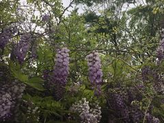 -中国人民大学游泳馆