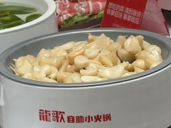 -龍歌自助小火锅(雨花台江南虹悦城店)