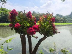 -星湖旅游景区七星岩