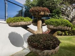 -三亚蜈支洲岛旅游区