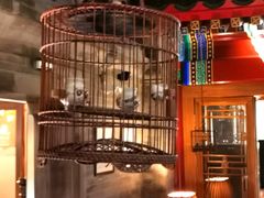 -北京古城老院厉晓麟精致菜