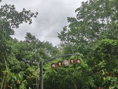 -中国科学院西双版纳热带植物园